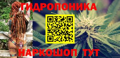 ECSTASY Будённовск