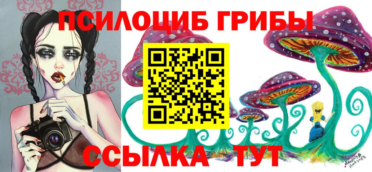 Рубцовск  Галлюциногенные грибы Psilocybe  Вход с VPN  Псилоцибиновые грибы мицелий 