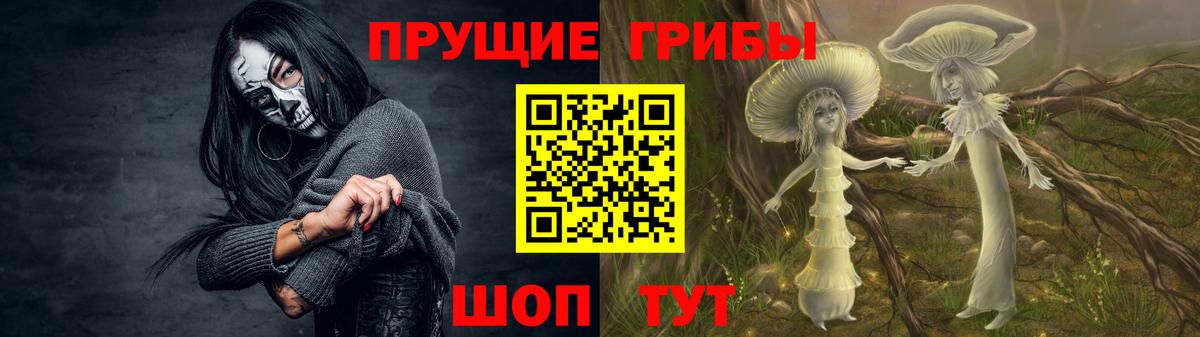 Псилоцибиновые грибы Psilocybine cubensis Рубцовск